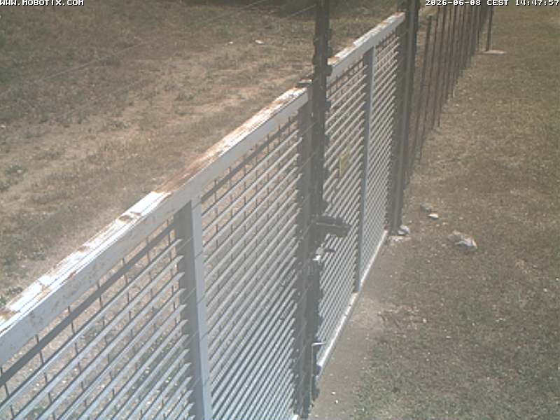 Camera Live Image