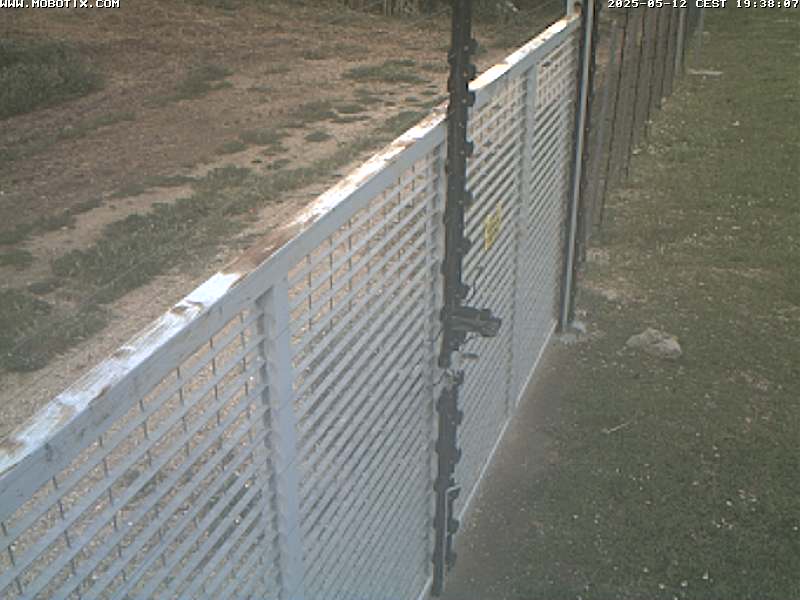 Camera Live Image