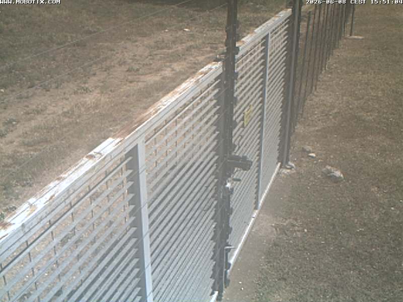 Camera Live Image