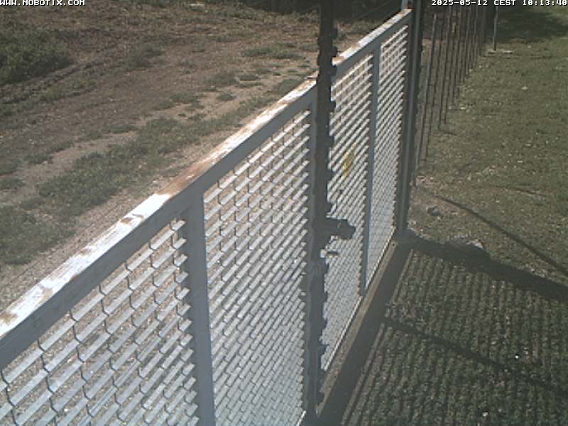 Camera Live Image