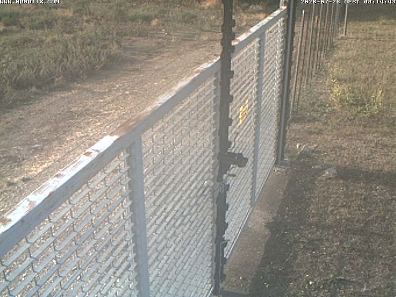 Camera Live Image