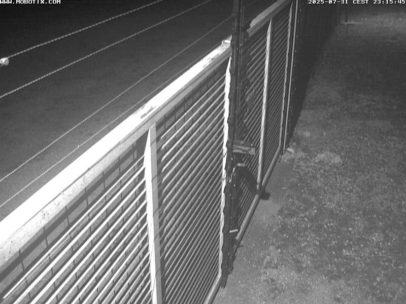 Camera Live Image