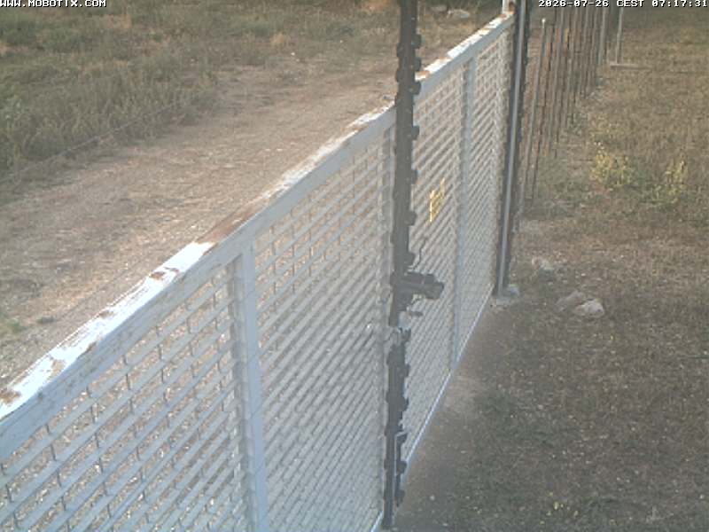 Camera Live Image